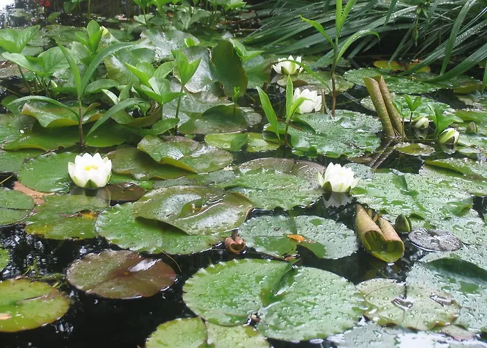 Emma Bed & Breakfast Ghent