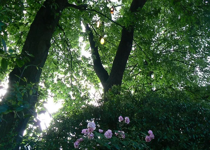 Emma Bed & Breakfast 4*